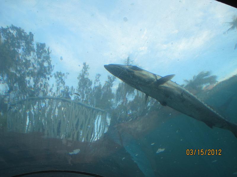 Picture 044
